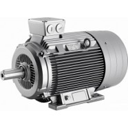 Электродвигатели «Высокоэффективные» 1LG6
