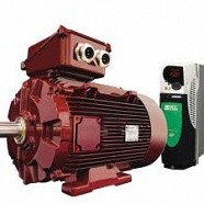 Leroy Somer LSRPM Dyneo