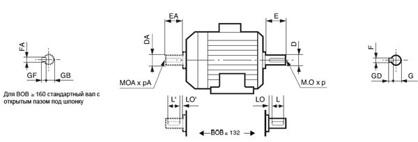 fls_shaft